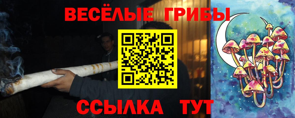 Алушта  Галлюциногенные грибы ЛСД  Вход с VPN 