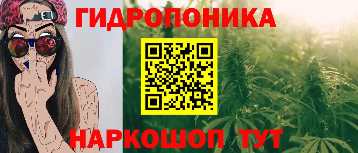 Конопля Bruce Banner Алушта